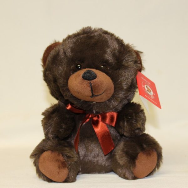 Chocolate Bear 7in With A Ribbon