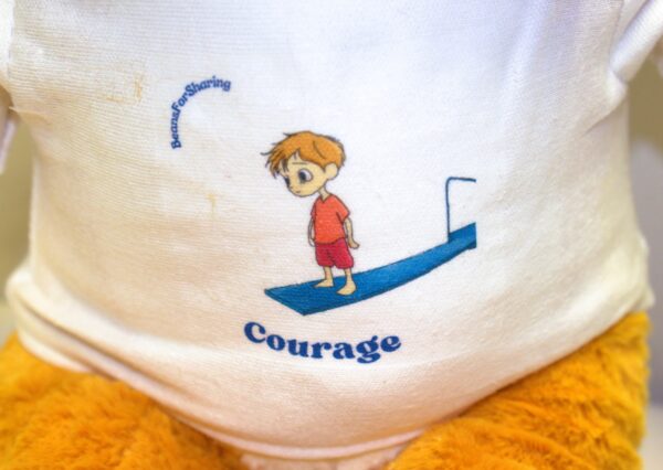 Furtue Lion "Courage" 15in - Image 4