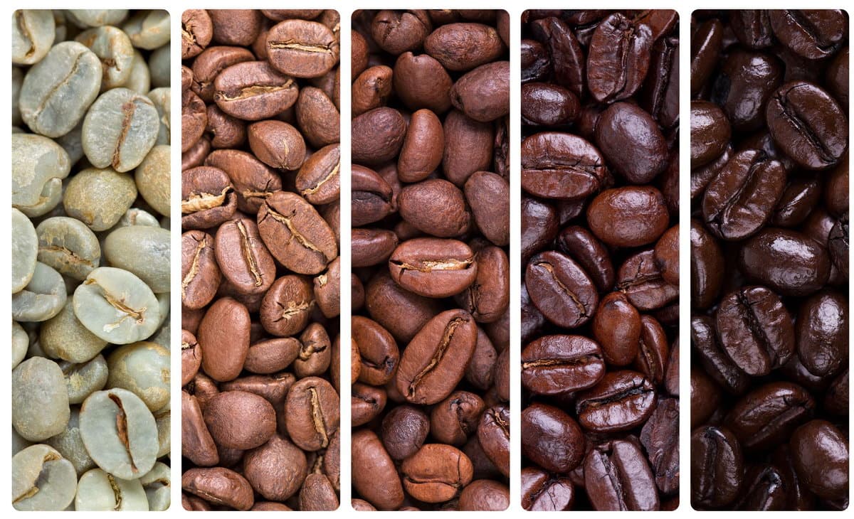 How to Store Coffee Beans to Keep Them Fresh for a Long Time
