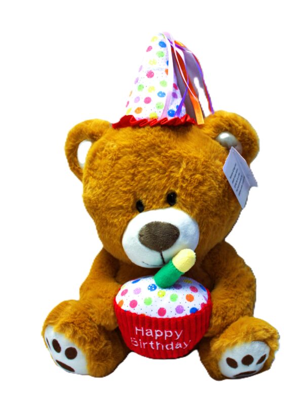 bundled birthday party for big kids - Image 4