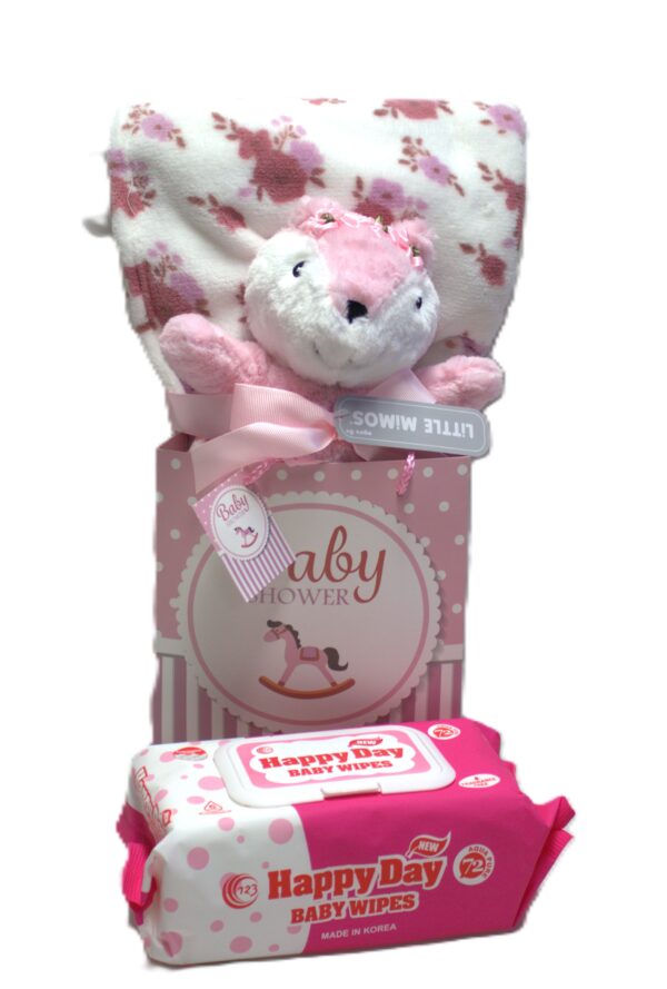 Bundled Baby Shower Gift w/ blanket set